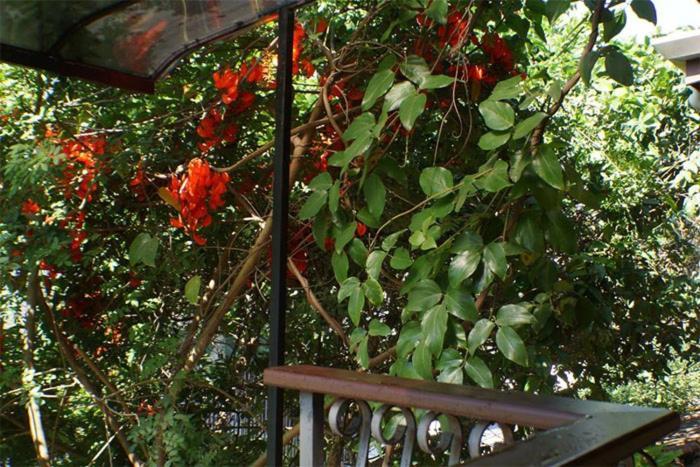 Pousada Manobra Ubatuba Dış mekan fotoğraf